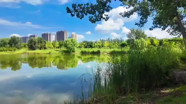 爪印爱心宠物社区园区环境全景